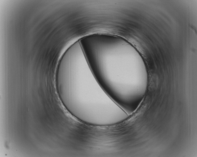X0000098200904200804241036