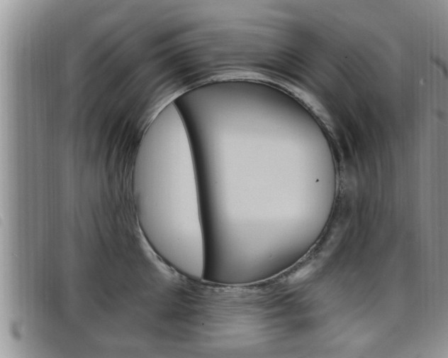 X0000098200905200804241036