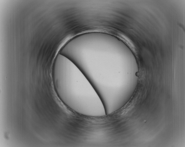 X0000098200907200804241035