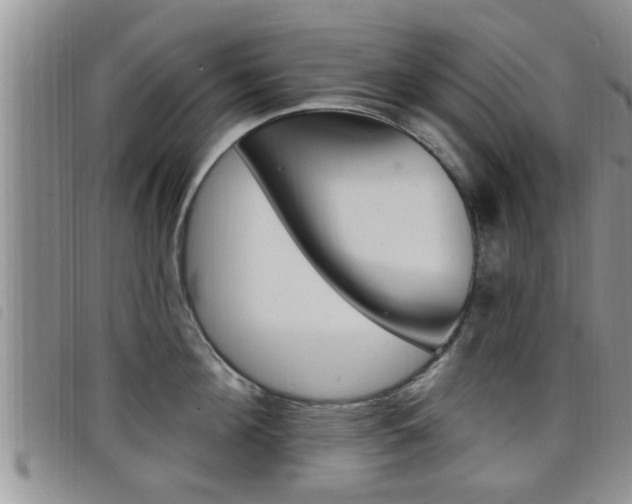 X0000098200908200804241035