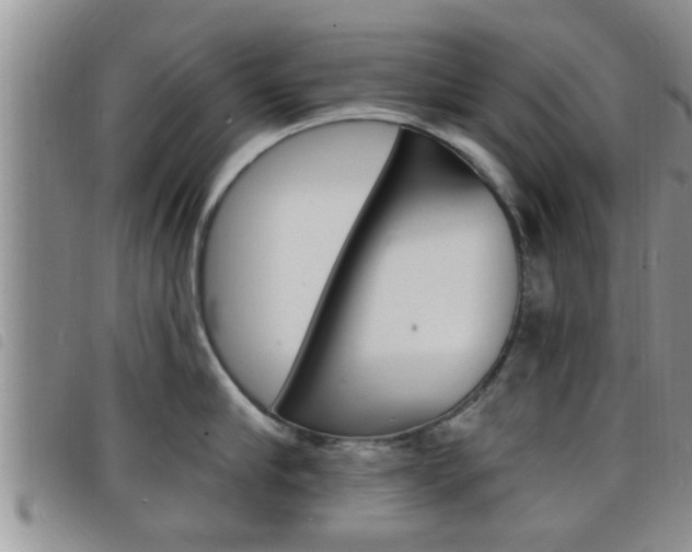 X0000098200910200804241035