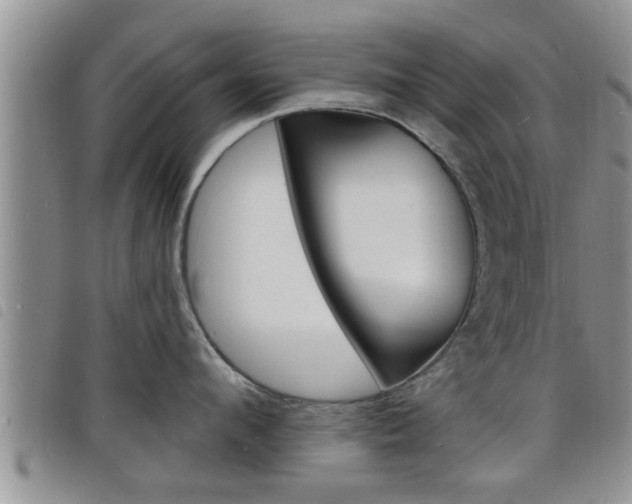 X0000098200912200804241035
