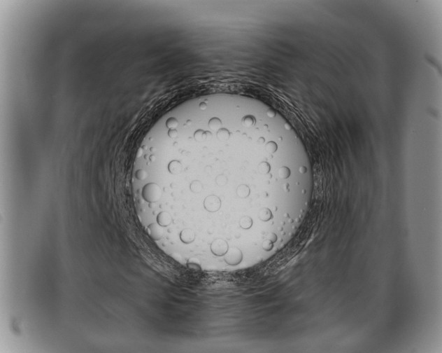 X0000098200913200804241035