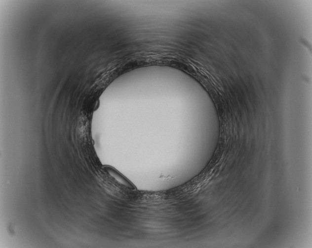 X0000098200914200804241035