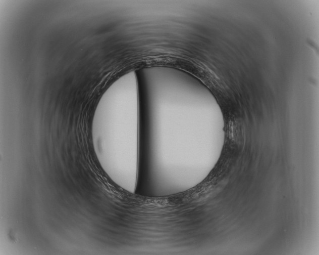 X0000098200915200804241035