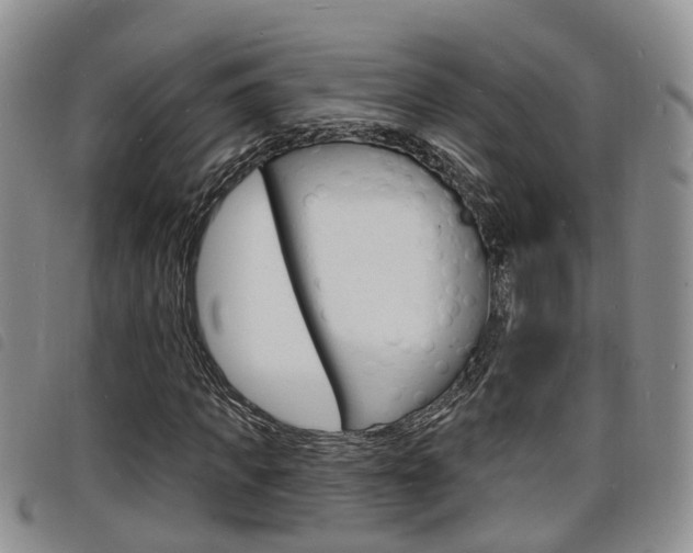 X0000098200917200804241035