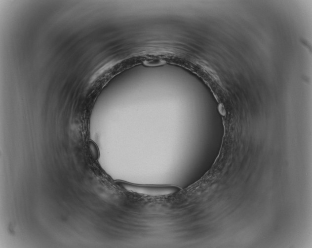 X0000098200920200804241035