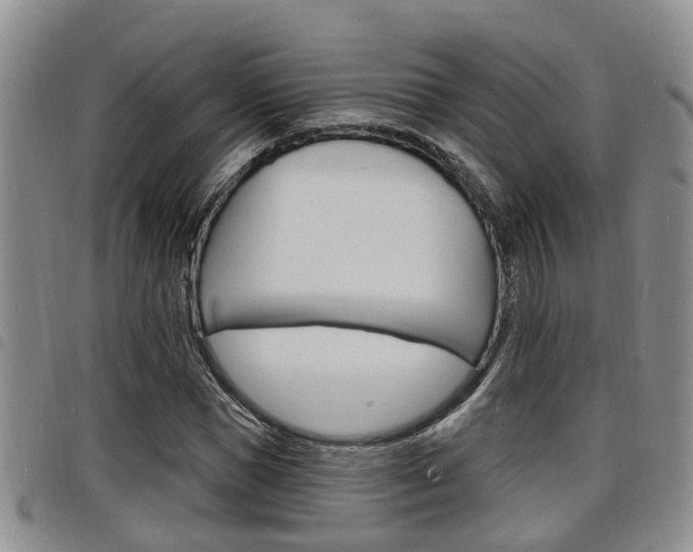 X0000098200921200804241035