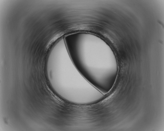 X0000098200922200804241035