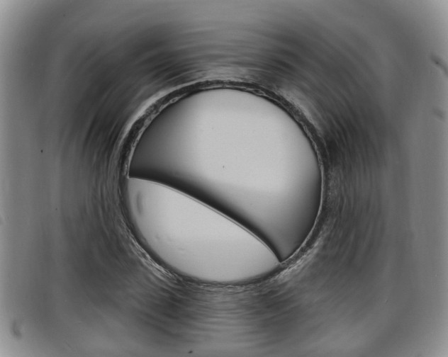 X0000098200923200804241035
