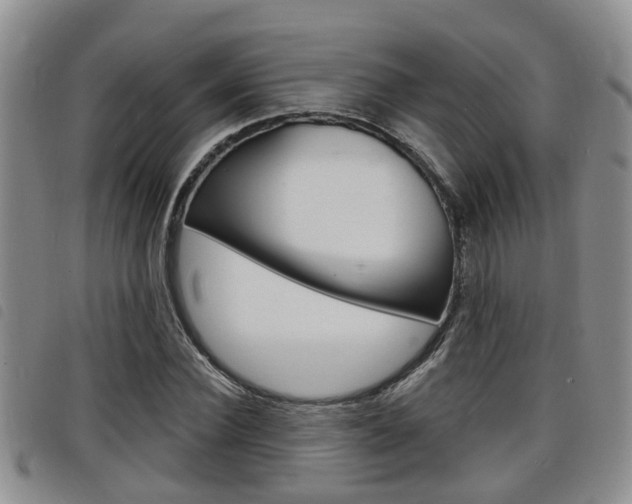 X0000098200924200804241035