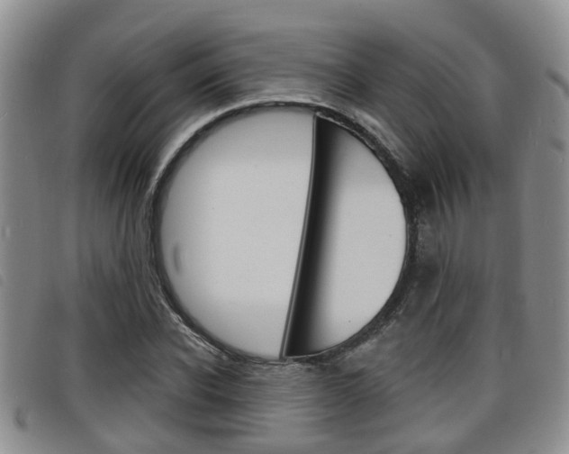 X0000098200926200804241035