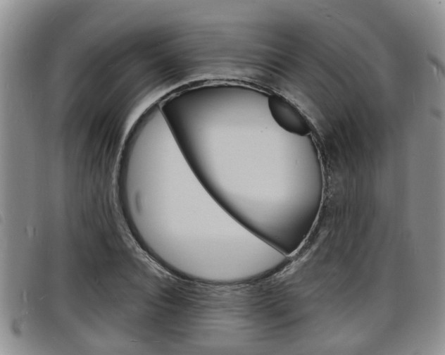 X0000098200928200804241035