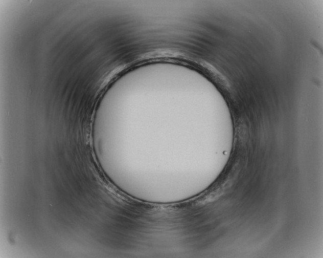 X0000098200929200804241035