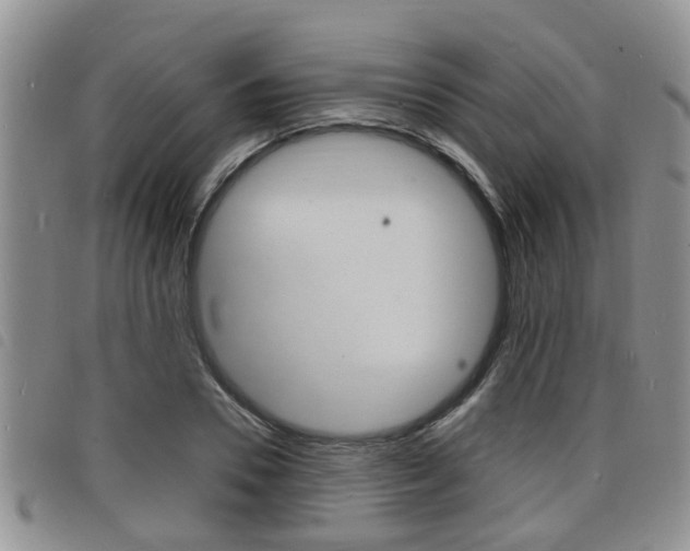 X0000098200930200804241035