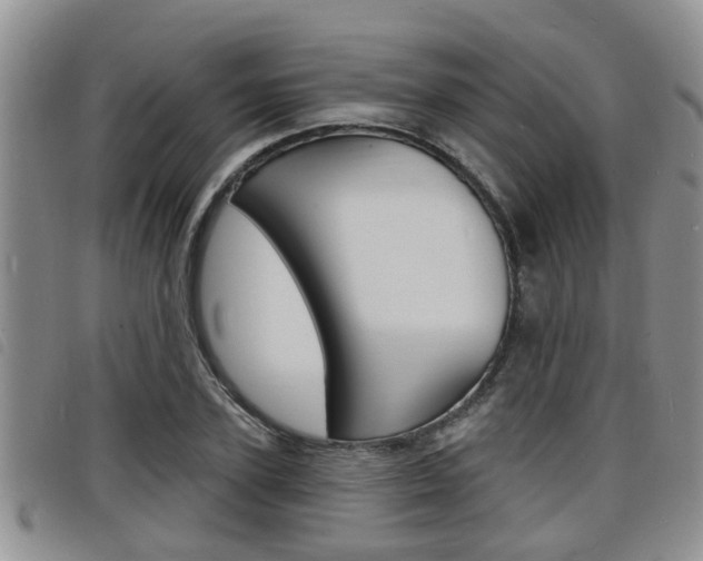 X0000098200931200804241035