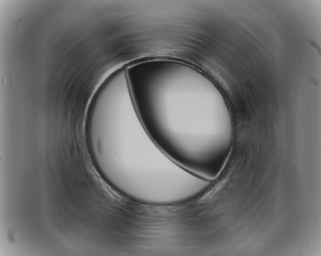 X0000098200932200804241035