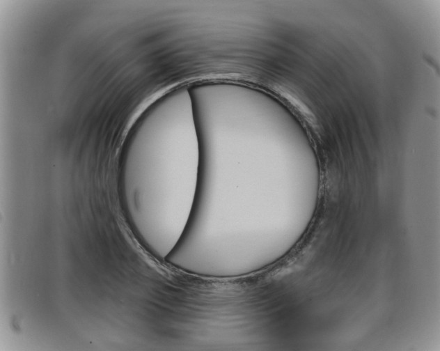X0000098200933200804241035
