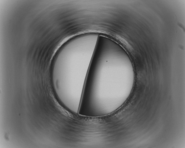 X0000098200934200804241035