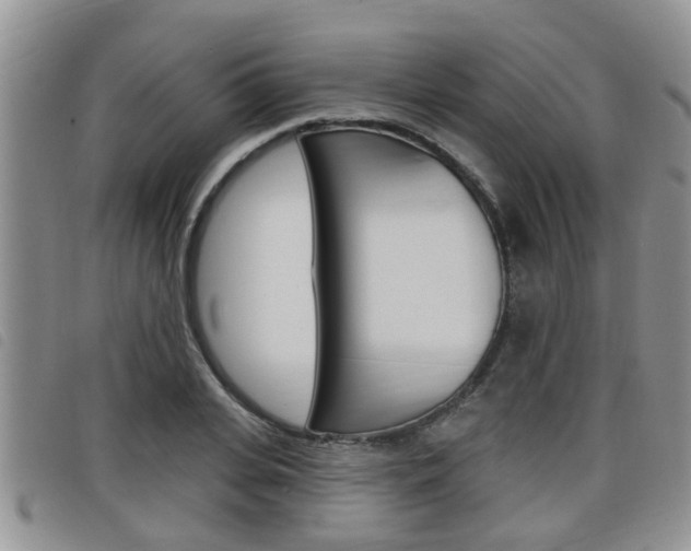 X0000098200935200804241035
