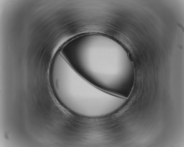 X0000098200936200804241035