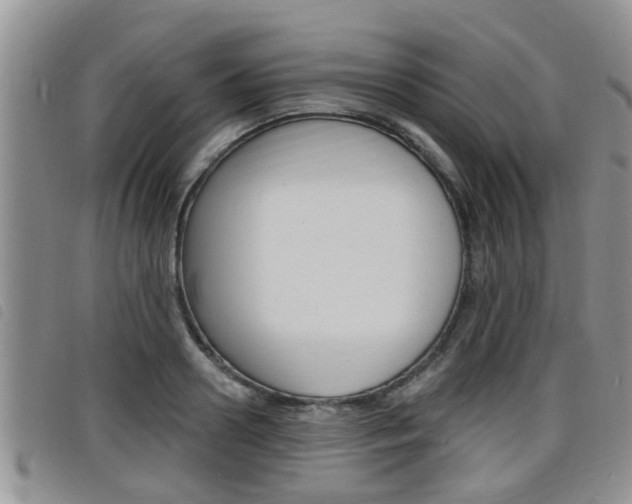 X0000098200938200804241035
