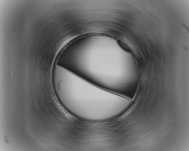 X0000098200940200804241035