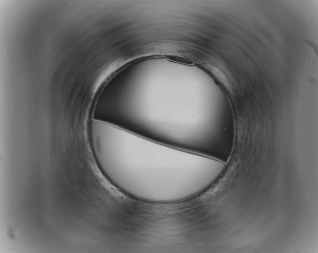 X0000098200944200804241035
