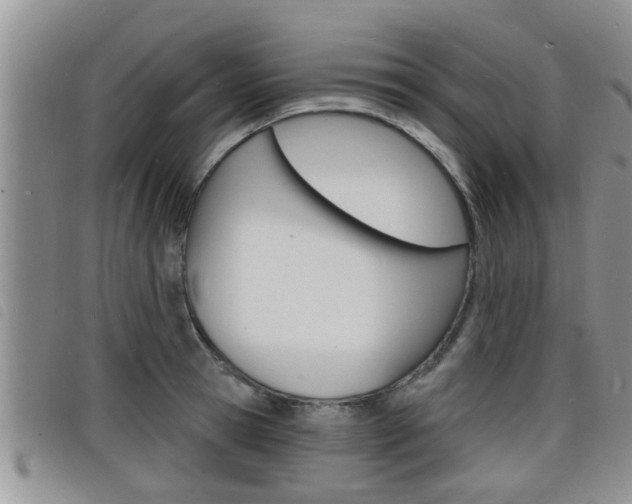 X0000098200945200804241035