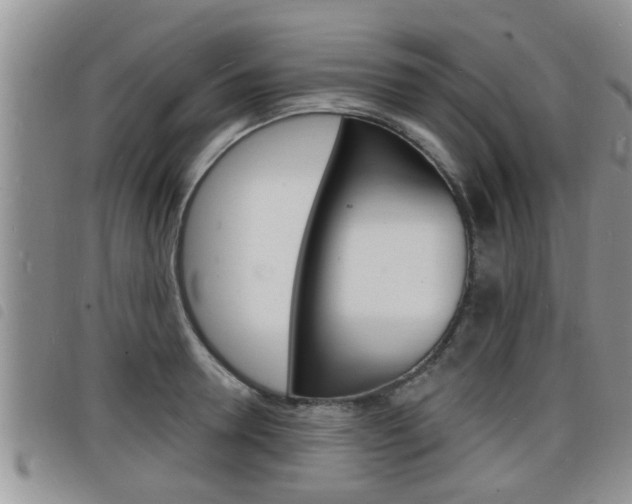 X0000098200946200804241035