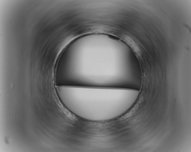 X0000098200948200804241035
