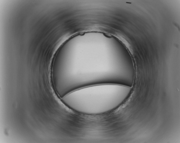 X0000098200949200804241035