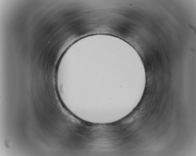 X0000098200950200804241035