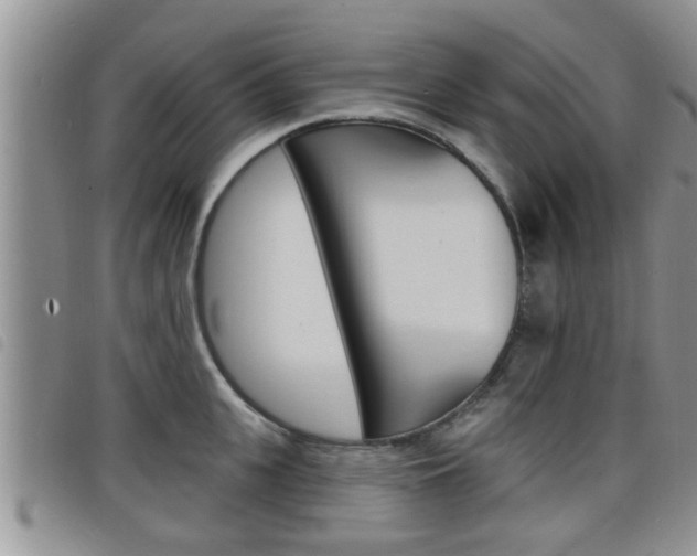 X0000098200951200804241035