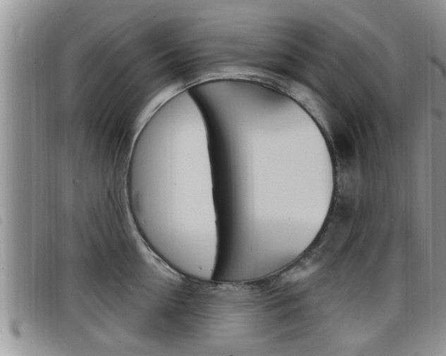 X0000098200954200804241035