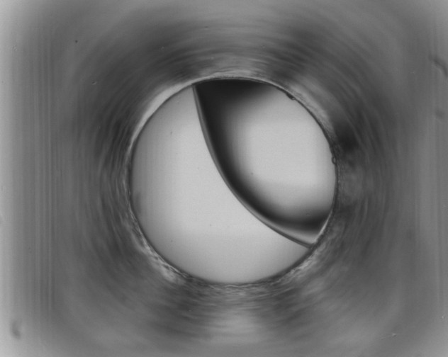 X0000098200956200804241035