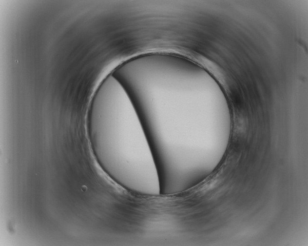 X0000098200958200804241035