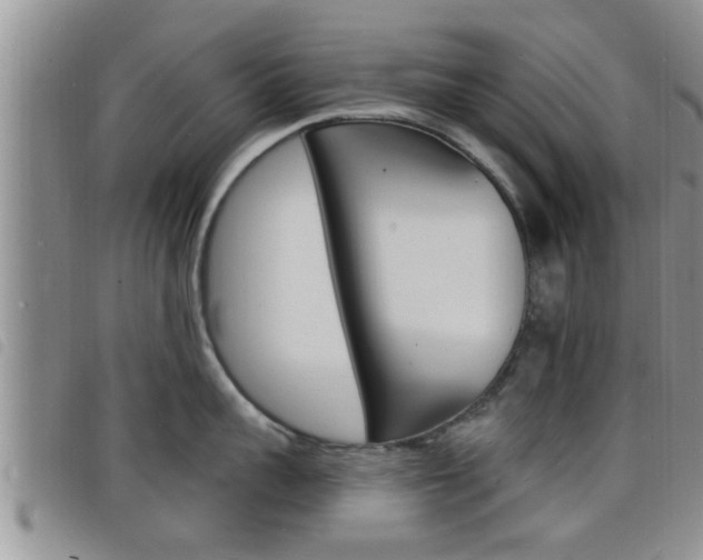 X0000098200959200804241035
