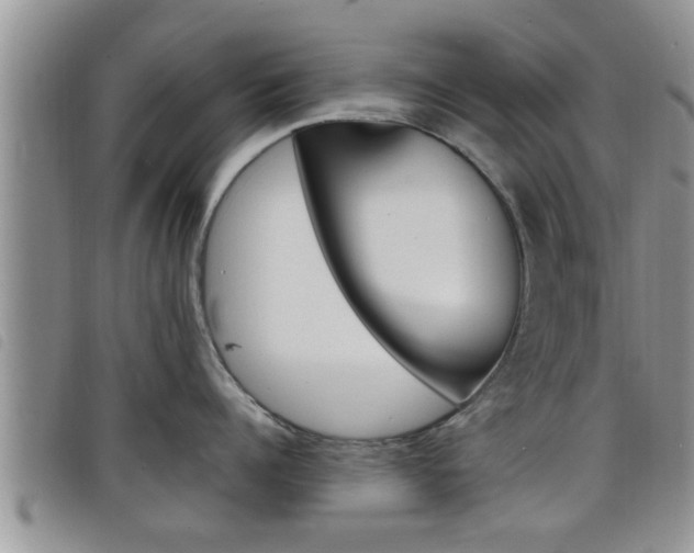 X0000098200960200804241035