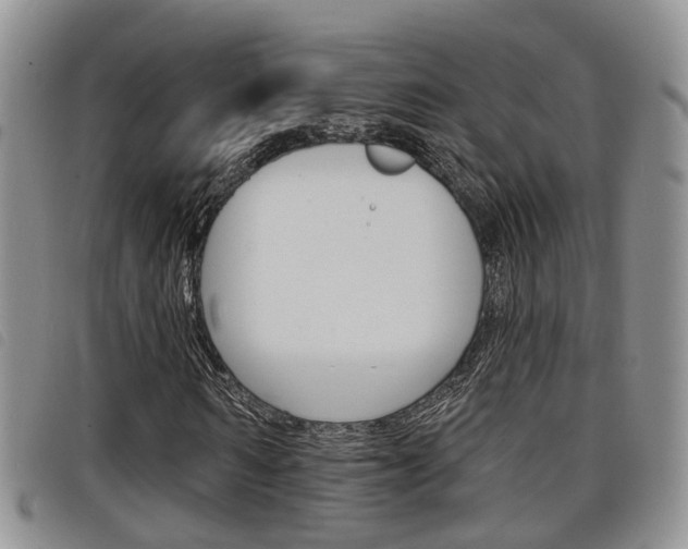 X0000098200962200804241035