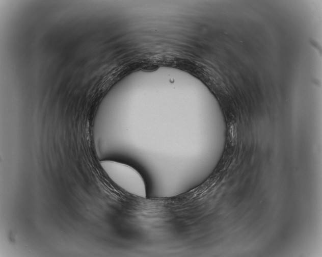 X0000098200963200804241035