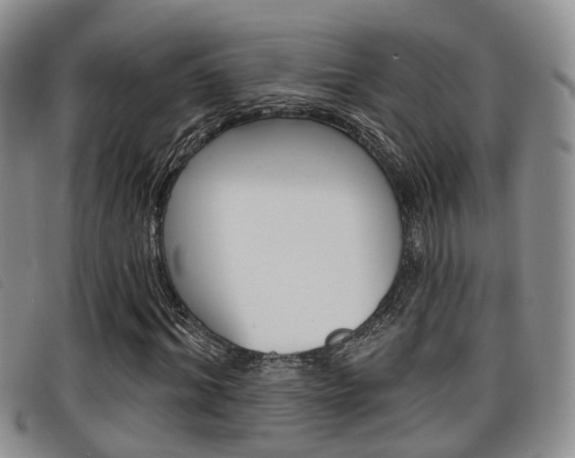 X0000098200964200804241034