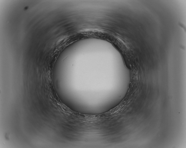 X0000098200965200804241034