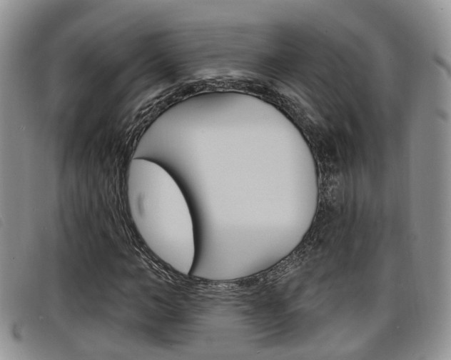 X0000098200966200804241034