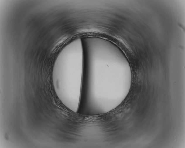 X0000098200967200804241034