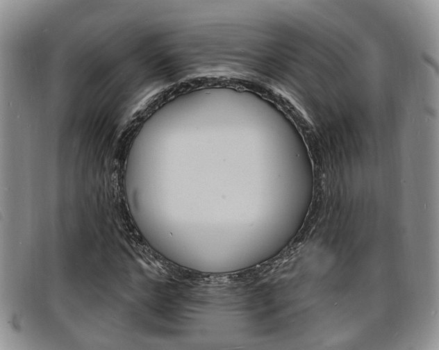 X0000098200968200804241034