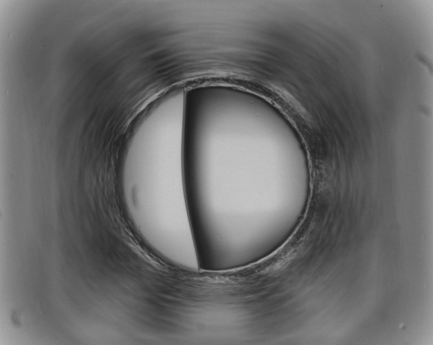 X0000098200969200804241034