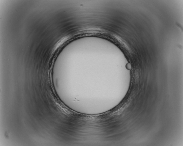X0000098200970200804241034