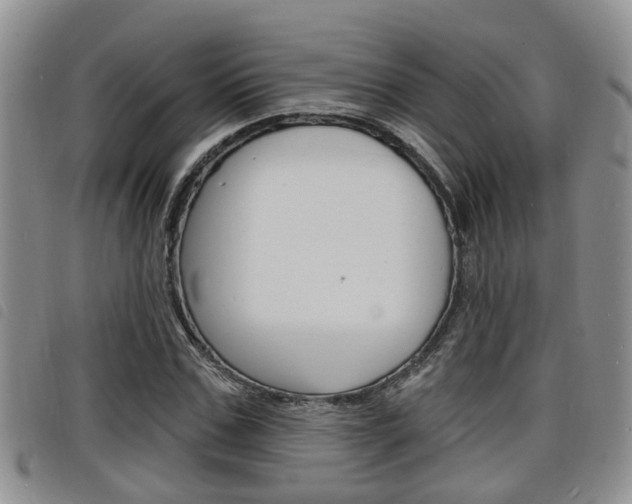 X0000098200971200804241034