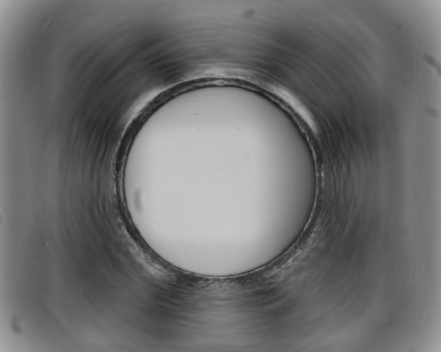 X0000098200972200804241034